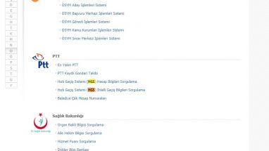 HGS Ceza Sorgulama ve Ödeme İşlemi Nasıl Yapılır?