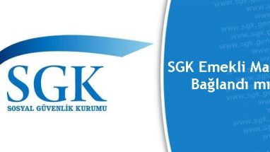 Emeklilik Başvurum Onaylandı mı? Nasıl Öğrenebilirim?
